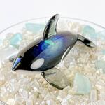 O65　宇宙を宿すガラスのシャチ