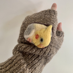 セミオーダーブローチ《カキカキしようよ！うちのオカメインコ 》