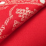 赤色 京友禅 疋田 熨斗模様 正絹 丹後ちりめん No.78-7 右前身頃部分【長さ100cm×幅18cm】子供用御祝着の解き 和布 リメイク素材 silk100%+