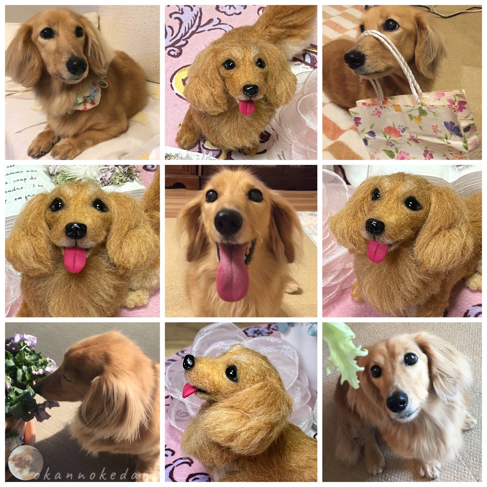 たんぽぽの綿毛⚪️?オーダーメイド　羊毛フェルト　犬　オーダー　ダックス　チワワ シーズー　柴犬　ビーグル　ポメラニアン　フレンチブルドック　トイプードル　コーギー　ヨークシャーテリア