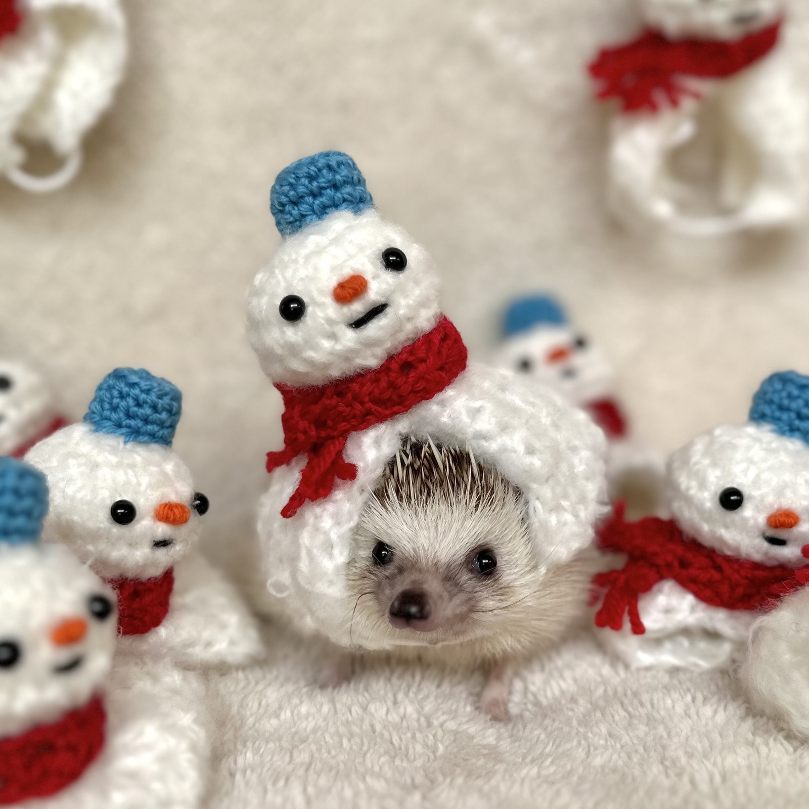 ネムネムニット帽（イエロー） - ラドポンポン | minne byGMOペパボ