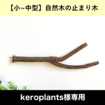 【小型・中型インコ向け】自然木の止まり木