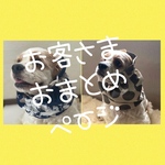 お客さまおまとめページ★犬用スヌード