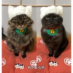 なりきり招き猫、猫ちゃんの首輪、帽子