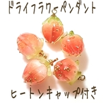 [送料無料]2個 天然 ドライフラワーペンダント ヒートンキャップ付き 珊瑚