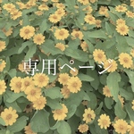 【専用ページ】kihei chain×ヴィトレイルライト