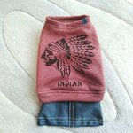 犬服！Msize！インディアン　デニムスカート