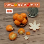 【再販】みかん🍊大好き💕セット…こたつにピッタリ( *´艸｀)