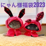 【ラストいっこ！】にゃん様福袋2023