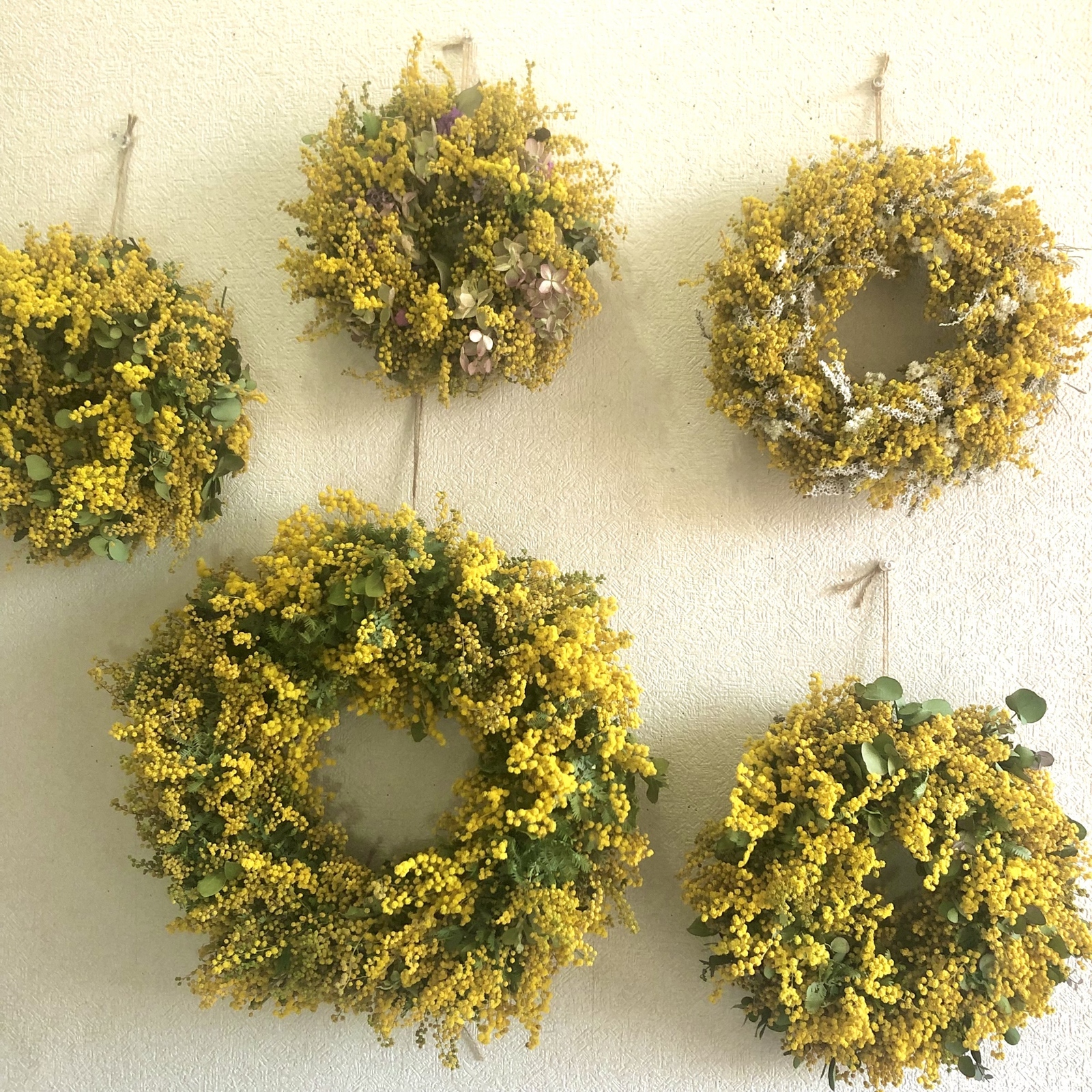 ミモザリース ミモザユーカリリース 春リース ミモザ - naturalflowers