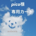 pico様専用カート