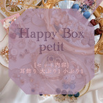 ♡Happy BOX petit♡ 耳飾り２点入り　ランダム