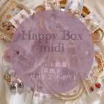 ♡Happy BOX  midi♡ 耳飾り3点入り　ランダム