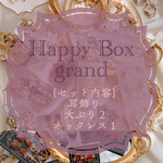 ♡Happy BOX  grand♡耳飾り2点 ネックレスチョーカー入り　ランダム