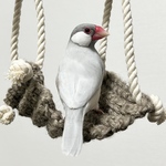 hammock lilacsnow S