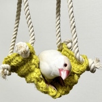 hammock yellowpear S
