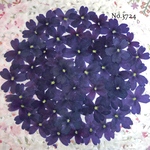 ♡new♡作家様必見♡ 人気のバーベナがいっぱい♡ 押し花セット