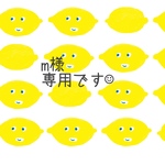 m様◇専用ページです