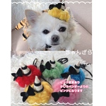 new🕺プリティ💕おリボン鬼ガール(小型犬～中型犬)