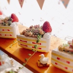スイーツ鉢   苺のショートケーキ