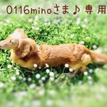 0116minoさま♪専用