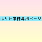 はりた家様専用ページ　ハリ針ケーL ハリネズミの抜け針入れ