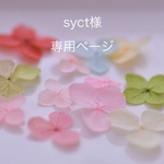 syct様　専用ページ