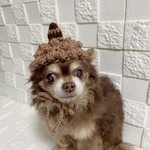 「新色」犬 鬼 節分