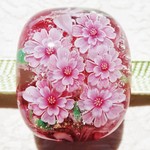 《八重桜》　帯留め　ガラス　とんぼ玉　桜