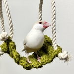 hammock olive S