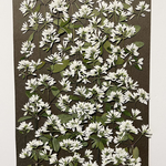 ♪♪小さめ八重咲きユーフォルビア ＊ 押し花