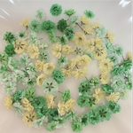 グリーン系 かすみ草ドライフラワー100粒
