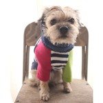 犬服 ※定番B50 クシュクシュタートル 両面ソフトボア 紺ボーダー×マゼンタ色＋黄緑色の長袖