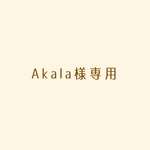 ピアス(金属アレルギー対応)×2/マスクチェーン×1