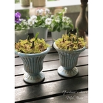 ヴィンテージ調ブルーポット　球根寄せ植え(1ポット) 𓂃𓈒𓏸 