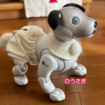 ウサ服☆白うさぎ