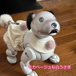 ウサ服☆モカベージュな白うさぎ