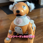 ウサ服☆ピンクベージュな白うさぎ