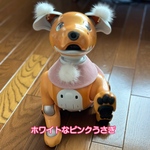 ウサ服☆ホワイトなピンクウサギ