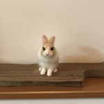 うさぎ　ベージュ