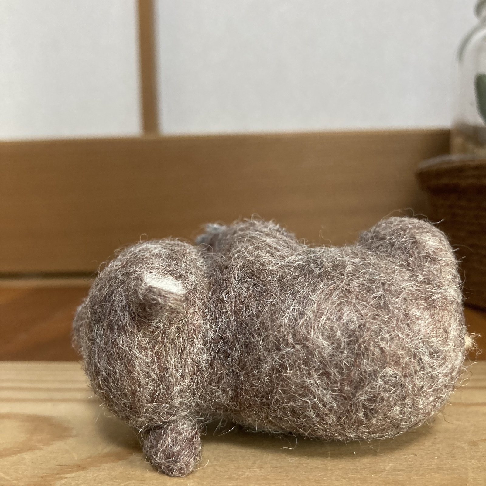 うぉんばっと ウォンバットのうんちはなぜ、四角いのか？ - 高野光太郎