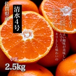 佐賀 青島温州 清水4号 2.5kg 小玉(S以下) 家庭用 秀品〜優品 マルチ栽培 農園直送 早生種 青島4号 爽やかな甘味と酸味