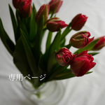専用ページです