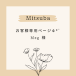 お客様専用ページ*.+ﾟ