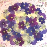 ♡new♡作家様必見♡押し花MIXセット♡押し花セット