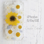 ⑤ミニヒマワリとノースポールの押し花iPhoneケース