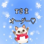 tさまオーダー♡  3点セット レッスンバッグ　女児　さくらんぼ　生成　ピンクベージュ　フリル　入園　入学　しっかり　サイズ対応　シューズケース　お着替え袋　花柄　女の子　入学セット