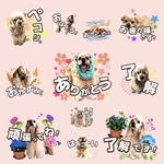 LINEスタンプ❤︎オリジナルうちの子スタンプ🐾