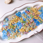 【押し花素材】小花ミックス　pressed flowers