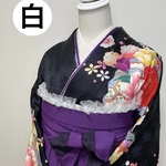 飾り前板 レース前板《送料無料》